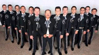 quotMIXquot VIVA VERACRUZ AL SON DE VERACRUZ 1 2 3  MARIACHI VARGAS DE TECALITLAN [upl. by Anolahs608]