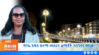 የቦሌ ክፍለ ከተማ መሰረተ ልማቶች ጉብኝትና ምረቃ [upl. by Glynas]