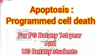 Apoptosis Programmed cell death botanysourcebotany cellbiologycsirnetlifescience cellbiology [upl. by Tenney]