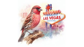 REPLAY Vegas Wild Bird Cam Live Stream  10302024 [upl. by Daeriam]