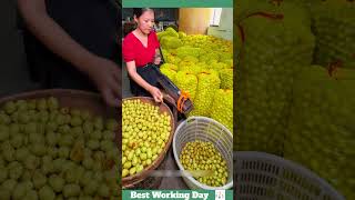 Best working day 1415 Process of making candied dates [upl. by Arekat]