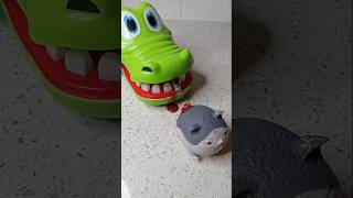 Poor kitten 😢 cat meaw memes satisfying funny squishy toyscat [upl. by Darrow]