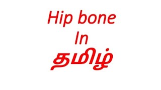 Hip bone anatomy in தமிழ்Anatomy of hip bone in தமிழ் pubis illium and ischium in Tamil [upl. by Lizzy818]