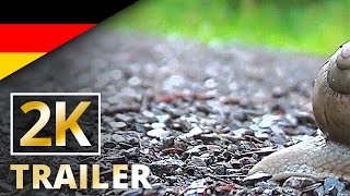 Slow  Langsam ist das neue Schnell  Offizieller Trailer 2K UHD DeutschGerman [upl. by Ordnaxela]