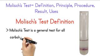 Molischs Test Definition Principle Procedure Result Uses [upl. by Yekciv]