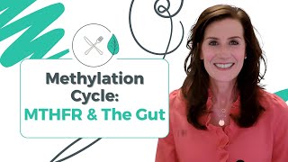 Methylation Cycle MTHFR And The Gut [upl. by Nad]