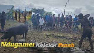 Ndugamen Koleksi Panah [upl. by Niccolo652]