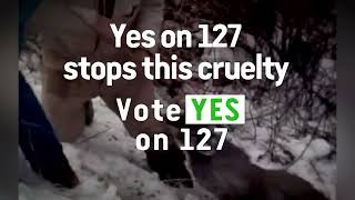 Stop the Cruelty Vote YES on Proposition 127 [upl. by Adalai]