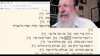 Maamar Knesher מquotב Gd is an Eagle Jewish Survival Amazes Him [upl. by Anyahc154]