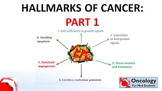 4 Hallmarks of Cancer part 1 [upl. by Oswal749]