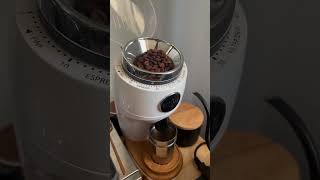 Ever reliable consistent Niche ginder niche nichezero coffeegrinder [upl. by Naujled]