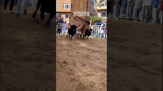 📹 Encierro en Onda Castellón 📸 diegofabian23 [upl. by Cathrine83]