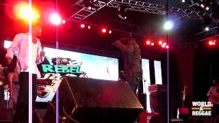 Beres Hammond Live  Rebel Salute 2013  Jamaica [upl. by Arayk133]