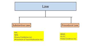 What is Substantive and Procedural Law Importance of Procedural Law [upl. by Marita]