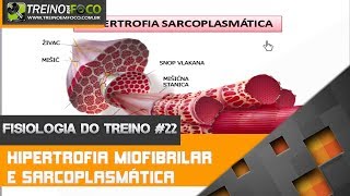 Hipertrofia Miofibrilar e Hipertrofia Sarcoplasmática  Fisiologia do Treino 22 [upl. by Adnarrim]