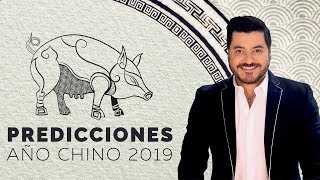 PREDICCIONES AÑO CHINO DEL CERDO 2019 [upl. by Ledba217]