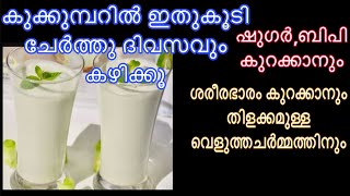 കുക്കുമ്പറിൽ ഈ ചേരുവകൂടി ചേർത്ത് ദിവസവും കഴിക്കൂ  Healthy Cucumber Drink [upl. by Hcurob]