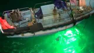 The video of Led fishing light test in ocean 1 [upl. by Aissac406]