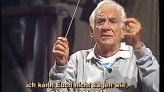 Triangle Lessons with Leonard Bernstein [upl. by Ecneret235]