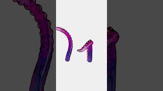 Tentacles test animation texturepainting blender blender3d blendertexturing [upl. by Enimrac]