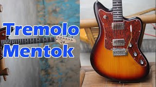 Jazzmaster gitar custom buatan Stranough Authentic PAF demo [upl. by Andriette358]