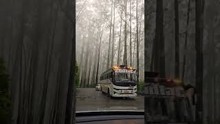 ooty bandipura forest roadtrip [upl. by Llehsyar640]