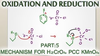 Alcohol Oxidation Mechanism with H2CrO4 PCC and KMnO4 [upl. by Mainis329]