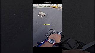 Dog Attack On Super Bike Rider exaust Sound 😂 bmws1000rr exaustsound dog dogattack shorts bike [upl. by Airamzul835]