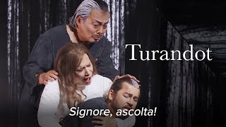 Signore ascolta – TURANDOT Puccini – Grand Théâtre de Genève [upl. by Yelekreb]