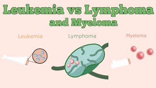 Leukemia vs Lymphoma vs Myeloma [upl. by Cartwell]