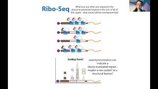 Ribosome footprinting aka profiling aka Riboseq amp polysome profiling  an overview amp comparison [upl. by Nnaeed]