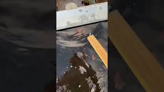 A roofer unclogs a roof drain [upl. by Terrell812]