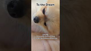 To the Dream poem art [upl. by Piero]