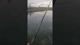 Weight less Texas rig in heavy grass bassfishinglife bassfishing bigbassenergy fishing [upl. by Debra]