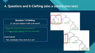 How to Do Constituent and Complement Tests [upl. by Stav]