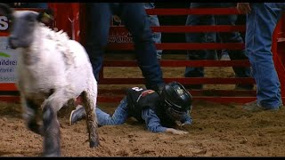 Mutton Bustin highlights  San Antonio Rodeo  Feb 10 2024 [upl. by Mowbray]