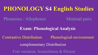 Phonology S4 English Studies Exam  introduction to linguistics University Online Bachelor Degree [upl. by Eimerej]