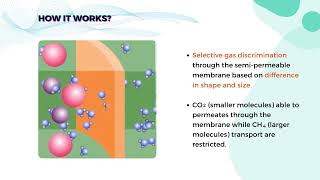 858 Monetization of Organic Waste Into Biofuels via Effective CO2 Capture by Means of Hierarchical [upl. by Lawson401]