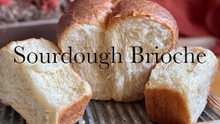 How To Make Sourdough Brioche Full Recipe Video StepByStep Process [upl. by Airamana]