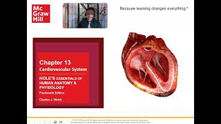 Ch 13 Cardiovascular System Layers of the Heart [upl. by Corry799]