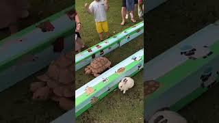 Tortoise and rabbit race story cutest 🥰 [upl. by Dnomra172]