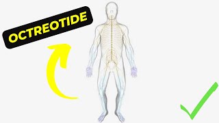 Octreotide The Miracle medication for Treating Rare Diseases [upl. by Glynas]