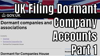 Filing Dormant Limited Company Accounts Part 1 Accounts to Companies House [upl. by Nedry]