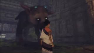 Toonami  The Last Guardian Game Review HD 1080p [upl. by Neelyhtak222]