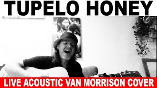 Tupelo Honey  Van Morrison acoustic cover by Dewey Paul Moffitt live solo guitar [upl. by Mcferren]