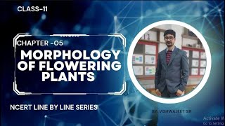 Morphology of flowering plants L3 Fast track revision Neet24 Vishwajeet Sir [upl. by Assed84]