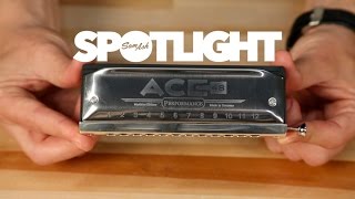 Hohner Ace 48 Harmonica  Everything You Need To Know [upl. by Alemap]