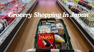 Shopping Trips Compilation  Supermarket Grocery Shopping  100¥ Store Shopping [upl. by Alver]