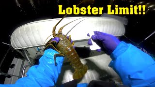 Lobster Limit in Southern California Long Beach [upl. by Ecirtam460]