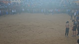 ENCIERRO TOROS ARGANDA DEL REY MADRID [upl. by Nimad]